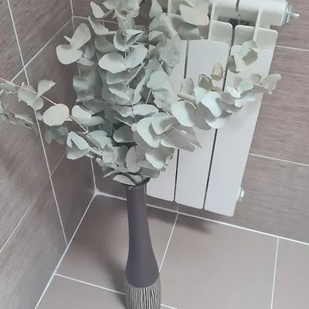 Apartmán El Atico De Marinuca *